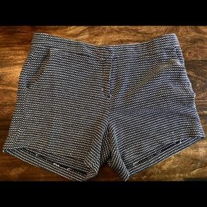 Amazing Navy & White Shorts